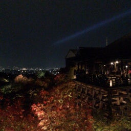 投稿写真