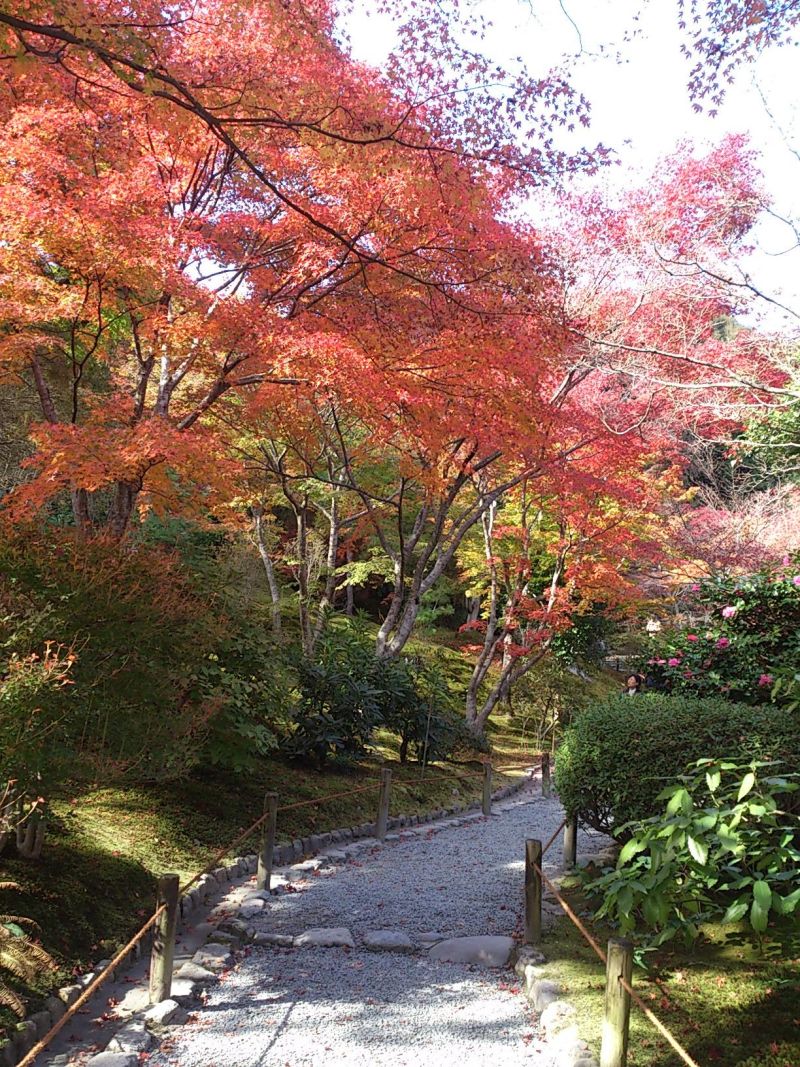 投稿写真