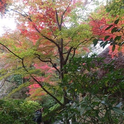 投稿写真