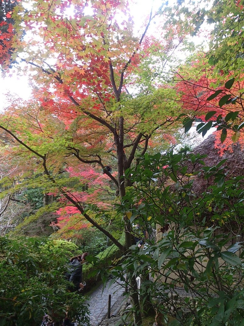 投稿写真