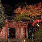 醍醐寺のすべてを歩く　その４ 秋期夜間参拝　─　平成26年11月21日 ─の記事より