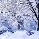 冬景色❄︎の記事より