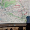 ストレス発散 ２日目の画像