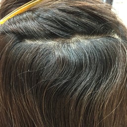 画像 桑名最強３姉妹 の記事より 3つ目