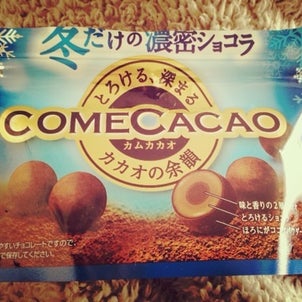 太陽がいっぱいの画像