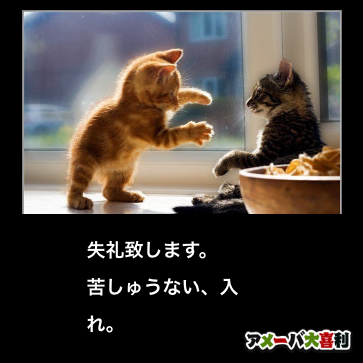 失礼致します。
苦しゅうない、入れ。