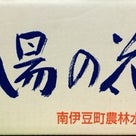国産レモン、柚子とみかん&お野菜@静岡県のふるさと納税の記事より