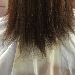 画像 ３歩進んで２歩下がる の記事より 4つ目