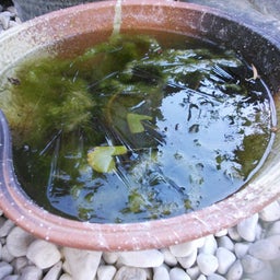 2014初氷１
