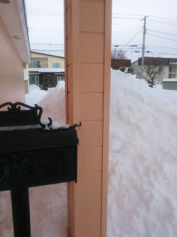 雪だるまつくろ～の記事画像