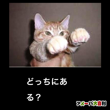 どっちにある？