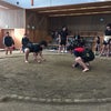 冬合宿 2日目の画像