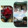 三井寺・つながるマーケット無事終了！！の画像