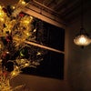 ☆Xmas photo1☆の画像