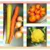 カラフルお野菜の画像