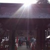 やっと、合ったの画像