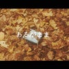 新曲”あるがまま”MV公開の画像