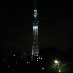 sky tree