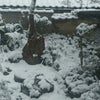 2015年、初雪の画像