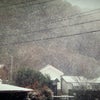 2015年の画像