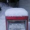 今朝は少なかったの画像