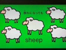 Sheep 複数 形