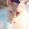心配しちゃったよの画像