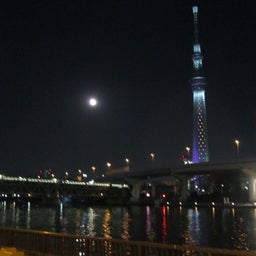 sky tree