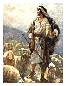 羊飼い