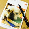 ブサカワ犬DIALYと小説Mr.スペードマンの画像