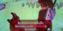 徒然ゲームプレイ日記‐Wii‐【スカウォ】「生命の木の苗」についてサルボ談①