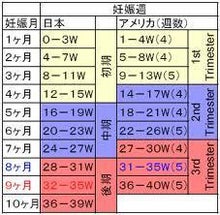 周期 妊娠 【妊娠確率】年齢・生理の関係や排卵日予測で妊娠確率をあげる基礎知識｜妊活・避妊・タイミング【専門家 河井助産師監修】