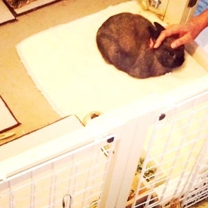 心にいつも 南風の画像