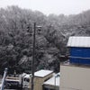 雪がきたよ〜*\(^o^)/*！の画像