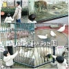 福岡市動植物園の画像