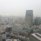 東京は雪の記事より