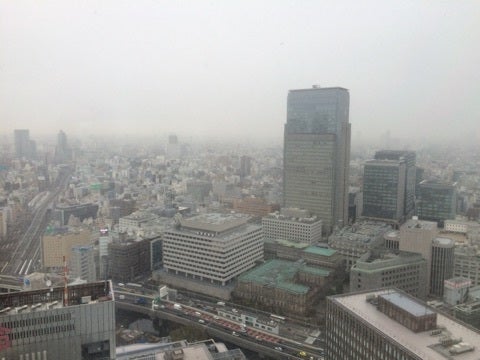 東京は雪の記事より