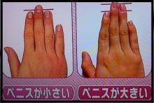 指の長さ と ペニスの大きさ の関係は 仮 ボクちゃんの歌舞伎な日々