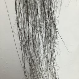 画像 まぐれ の記事より 1つ目
