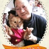 ぬぽパパさん♪クリア！の画像