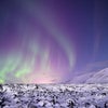 オーロラ　アイスランドの画像