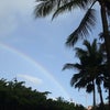 タロットREIKOのハワイアン・フラワー占い3月アップ！の画像