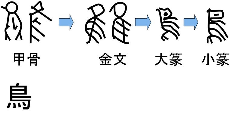 漢字の成り立ち 4 「とり」の象形文字｜こんさんのブログ