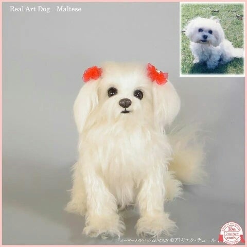 マルチーズのチャコちゃん 愛犬リアルぬいぐるみ オーダーメイド アトリエクチュール リアルアートドッグ犬猫ぬいぐるみ工房