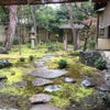 京ののむのむ 弘道館の画像