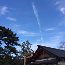 投稿写真