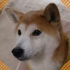 今日の1枚☆の画像
