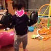 亀田の血の画像