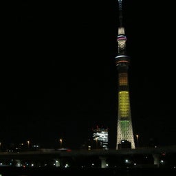 sky tree
