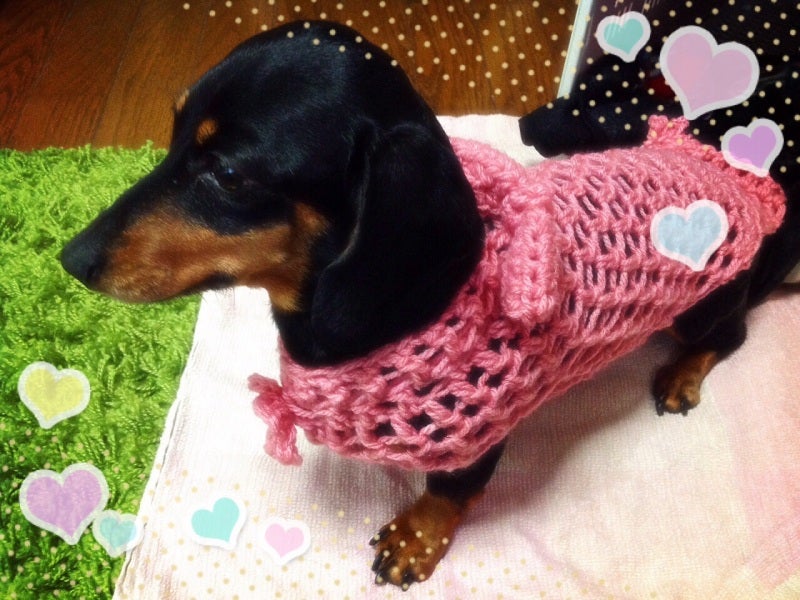 １時間で編めた 犬のセーター 編み図 | 湘南 茅ヶ崎 平塚の編み物教室 